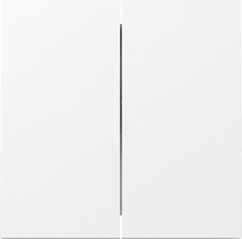 Gira 329570 Wippe 2-fach Flächenschalter Reinweiß