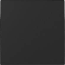 Gira 3296005 Wippe System 55 Schwarz m