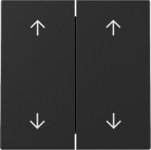 Gira 3297005 Wippe 2-fach Pfeile System 55 Schwarz m