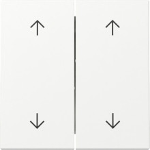 Gira 329727 Wippe 2-fach Pfeile System 55 Reinweiß m