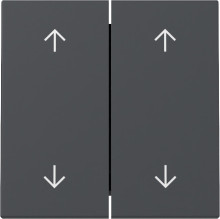 Gira 329728 Wippe 2-fach Pfeile System 55 Anthrazit