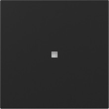 Gira 3490005 Wippe gerade Kontrollfür System 55 Schwarz m