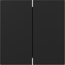 Gira 3495005 Wippe 2-fach gerade System 55 Schwarz m