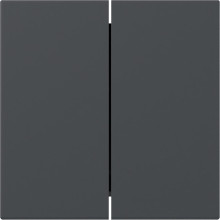 Gira 349528 Wippe 2-fach gerade System 55 Anthrazit