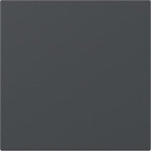 Gira 349628 Wippe gerade System 55 Anthrazit
