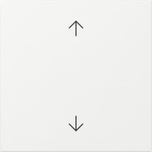 Gira 361503 Wippe Aufdruck 1/0 System 55 Reinweiß