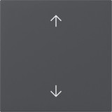 Gira 361628 Wippe Pfeile System 55 Anthrazit