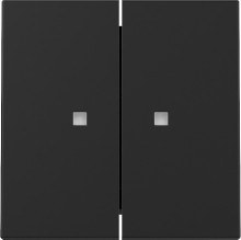 Gira 3631005 Wippe 2-fach Kontrollfür System 55 Schwarz m