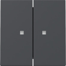 Gira 363128 Wippe 2-fach Kontrollfür System 55 Anthrazit