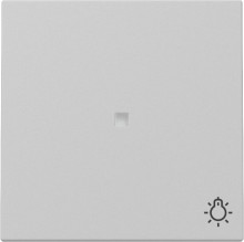 Gira 3674015 Wippe Kontrollfür + Symbol Licht System 55 Grau m