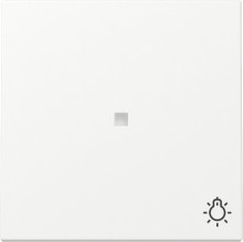 Gira 367427 Wippe Kontrollfür + Symbol Licht System 55 Reinweiß m