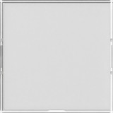 Gira 367600 Wippe Beschriftungsfeld groß System 55 Farbneutral