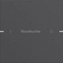 Gira 5031928 Wippenset 1-fach individuell Tastsensensor 4.95 Alum.Anthrazit(lack.)