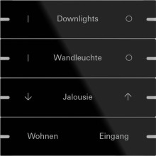 Gira 503405 Wippenset 4-fach individuell Tastsensensor 4.95 G Schwarz