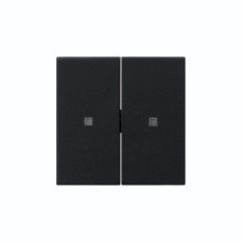 Gira 5369005 Wippe 2-fach unbedruckt Kontrollfür System 55 Schwarz m
