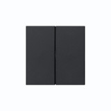 Gira 5370005 Wippe 2-fach unbedruckt System 55 Schwarz m