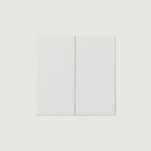 Gira 537003 Wippe 2-fach unbedruckt System 55 Reinweiß