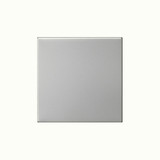 Gira 5372600 Wippe 1-fach unbedruckt System 55 Edelstahl