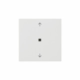 Gira 538203 S3000 BedienAufsatz Bluetooth Pfeile System 55 Reinweiß