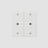 Gira 538603 Wippe 2-fach Pfeile Kontrollfür System 55 Reinweiß