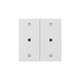 Gira 538627 Wippe 2-fach Pfeile Kontrollfür System 55 Reinweiß m
