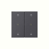 Gira 538628 Wippe 2-fach Pfeile Kontrollfür System 55 Anthrazit