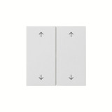 Gira 538727 Wippe 2-fach Pfeile System 55 Reinweiß m