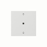 Gira 538803 Wippe 1-fach Pfeile Kontrollfür System 55 Reinweiß