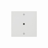 Gira 538827 Wippe 1-fach Pfeile Kontrollfür System 55 Reinweiß m
