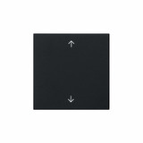 Gira 5389005 Wippe 1-fach Pfeile System 55 Schwarz m