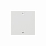 Gira 538927 Wippe 1-fach Pfeile System 55 Reinweiß m