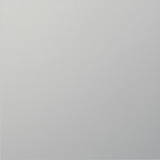 Gira 5554926 Frontplatte Info-/Blindmodul System 106 Aluminium