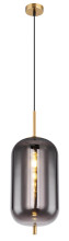Globo Blacky I E27 Hängeleuchte 60W Messingfarben, Metall Ø22cm 15345H2MM