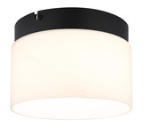 Globo Trenton LED Deckenleuchte 10W CCT Schwarz Matt, Metall Memoryfunktion Ø20cm 16052D