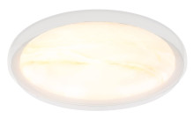 Globo Tyrone LED Deckenleuchte 24W CCT Weiß, Metall Memoryfunktion Ø38,5cm 41779-24