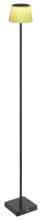 Globo Gregoir LED Stehleuchte 4W CCT IP44 Schwarz Matt, Metall Ø13cm 58434SBP