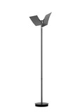Hell Twice LED Stehleuchte steuerbare Lichtfarbe Dimmbar 38cm CCT >90Ra Anthrazit 60568/1-39