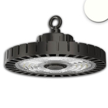 ISOLED LED Hallenleuchte MS 250W, IK10, IP65, neutralweiß, 90°, 1-10V dimmbar