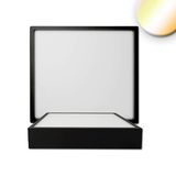 ISOLED LED Deckenleuchte PRO schwarz, 24W, 225x225mm, ColorSwitch 2700/3000/4000K, dimmbar