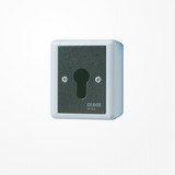 Jung 806.28G Schlüsselschalter, Universal Aus-Wechselschalter, 2-pol., IP 44, WG 800