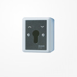 Jung 834.28G Jalousie-Schlüsselschalter, Wendetaster, 2-pol. (2 Antriebe), IP 44, WG 800