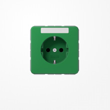 Jung CD1520BFNAGN SCHUKO-Steckdose, 16 A 250 V ~, mit Schriftfeld, Thermoplast, Serie CD, grün (für SV)