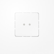 Jung CD561BWW Blind-Abdeckung (geschraubt), Duroplast, Serie CD, alpinweiß
