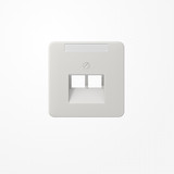 Jung CD569-2NAUALG Abdeckung für IAE/UAE-Anschlussdosen, 2x8-polig, mit Schriftfeld, Serie CD, lichtgrau