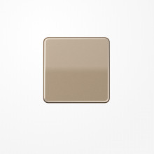 Jung CD590GB Wippe, Aluminium eloxiert, Serie CD, gold-bronze