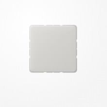 Jung CD594-0LG Blind-Abdeckung (gerastet), Thermoplast, Serie CD, lichtgrau