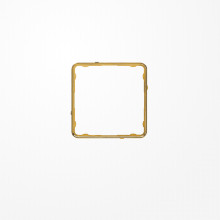 Jung CDP81GGO Applikations-Rahmen, CD PLUS, glanzgold (galvanisiert)