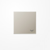 Jung ES2990L Wippe, Symbol Licht, Serie LS, Edelstahl