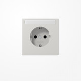 Jung LS1520KINALG SCHUKO-Steckdose, 16 A 250 V ~, mit Schriftfeld, SAFETY+, Duroplast, Serie LS, lichtgrau