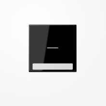 Jung LS990NAKO5SW Wippe mit Lichtleiter, mit Schriftfeld, Duroplast, Serie LS, schwarz
